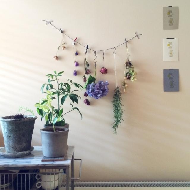 這里有你不應該不知道的干花美學……