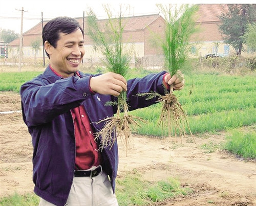提高植物免疫力,植物少得病