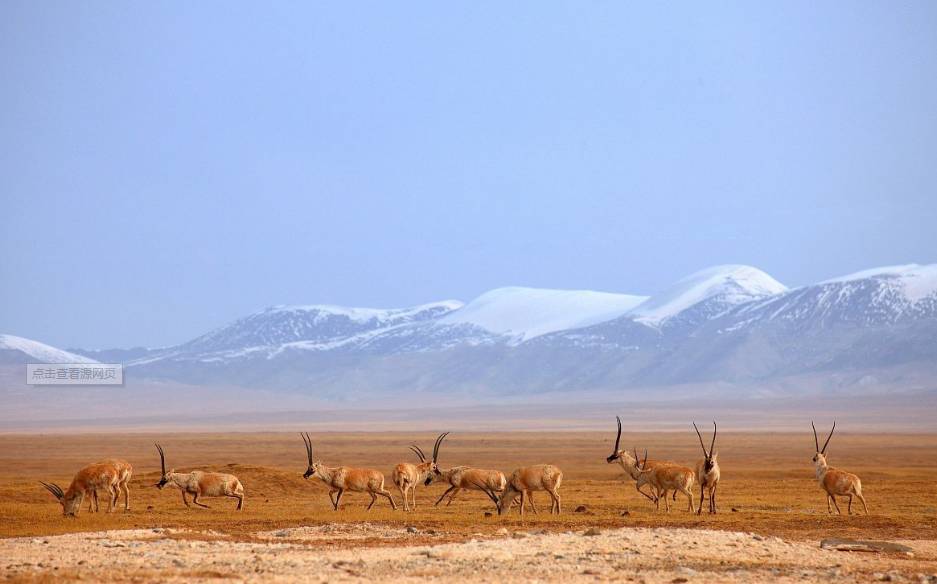 三大自然保護區聯合公告:禁止非法穿越