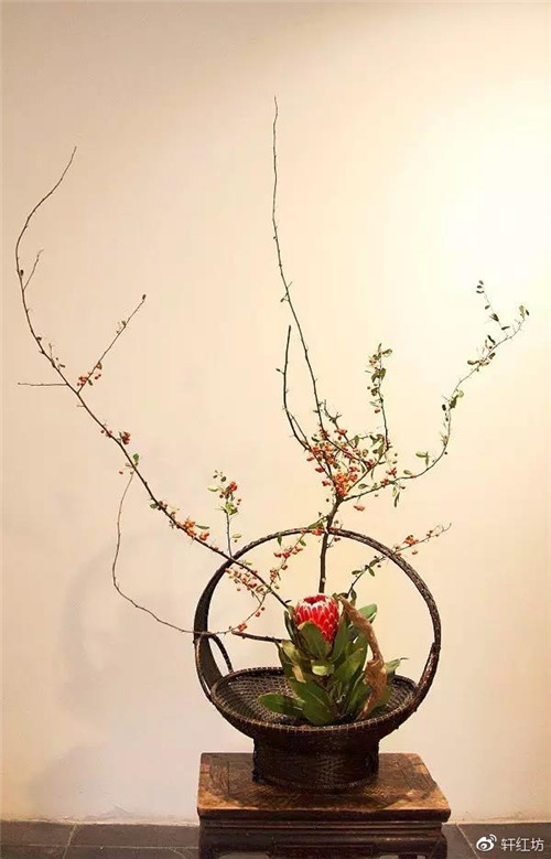 茶道，缺少插花不成雅致