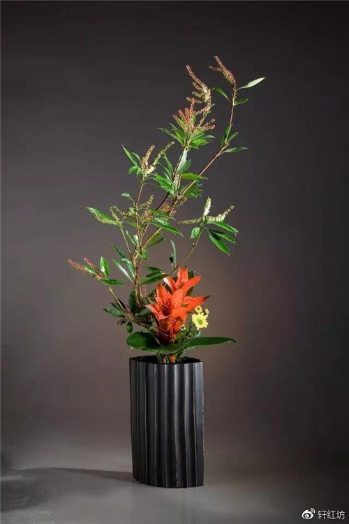 茶道，缺少插花不成雅致