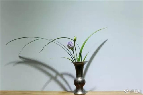 茶道，缺少插花不成雅致