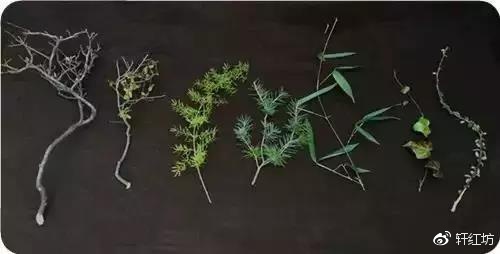 茶道，缺少插花不成雅致