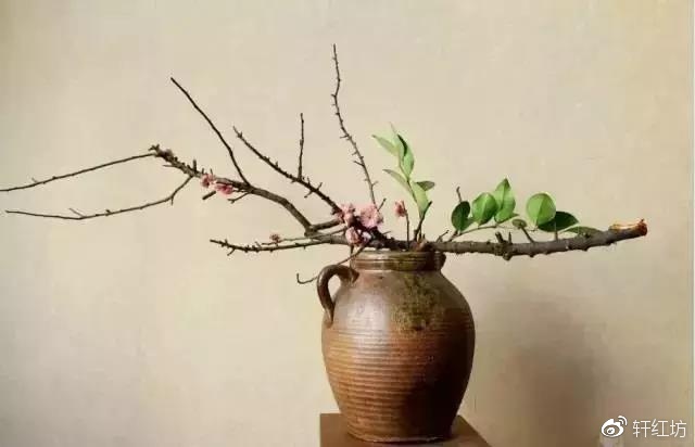 茶道，缺少插花不成雅致