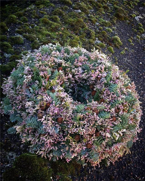 花藝的魅力:花環(huán)設(shè)計(jì)