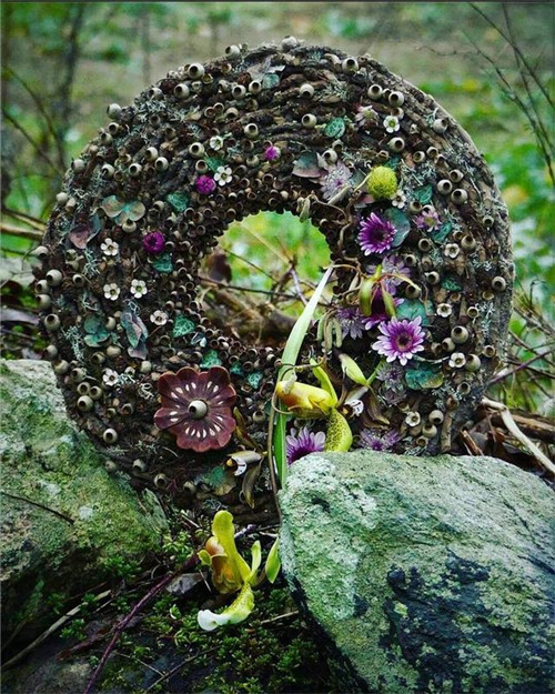 花藝的魅力:花環(huán)設(shè)計(jì)