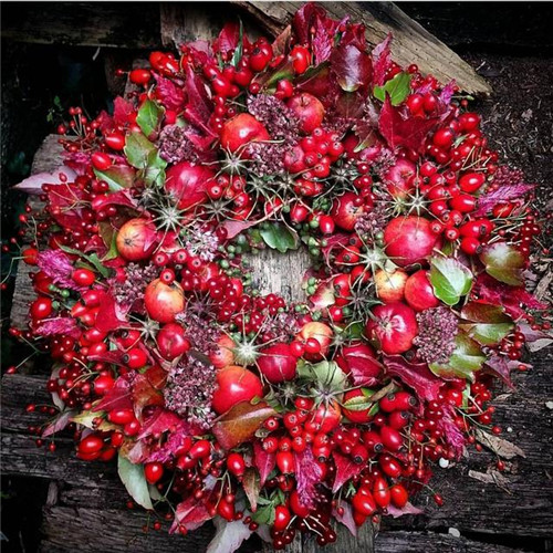 花藝的魅力:花環(huán)設(shè)計(jì)