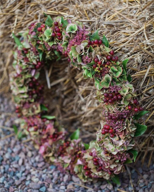 花藝的魅力:花環(huán)設(shè)計(jì)