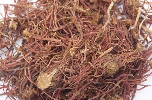 菊科植物紫菀還是著名的中藥材！