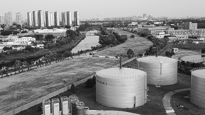 涼水河畔將增7公頃城市森林