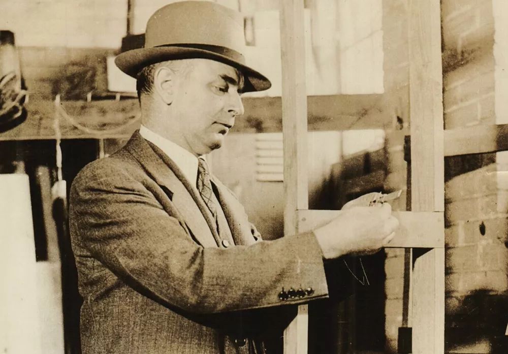 植物可以協(xié)助破案？