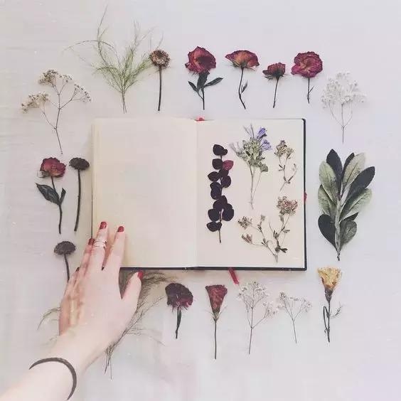 干花蠟燭、花藝書簽制作步驟