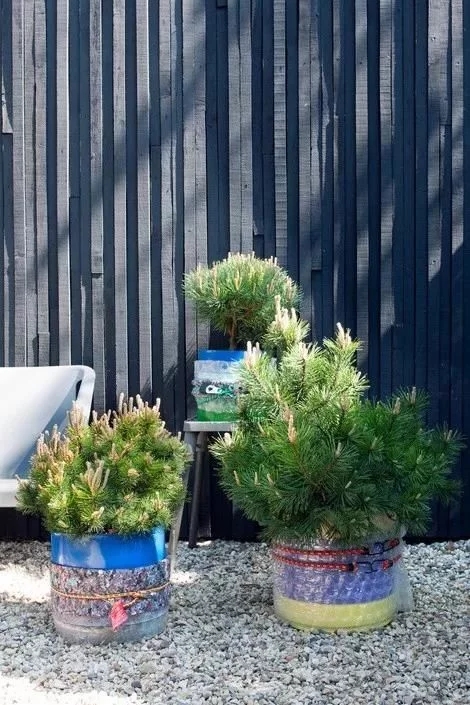 荷蘭園藝行業剛剛發布了2018年花藝設計趨勢