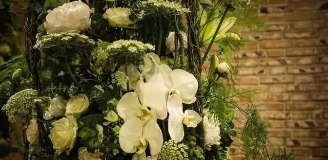 荷蘭園藝行業剛剛發布了2018年花藝設計趨勢