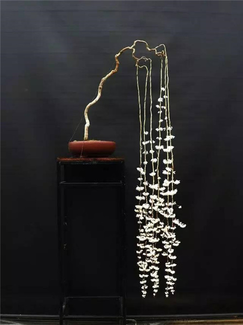 令你耳目一新的意境花藝