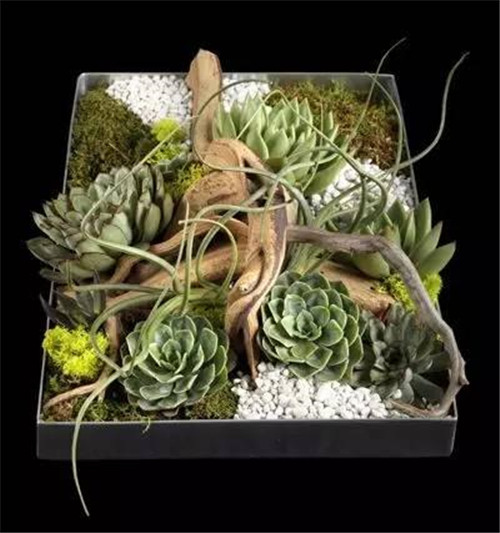 令你耳目一新的意境花藝