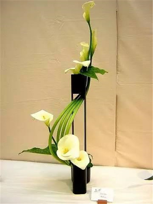 令你耳目一新的意境花藝