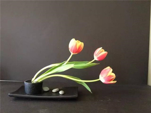 令你耳目一新的意境花藝