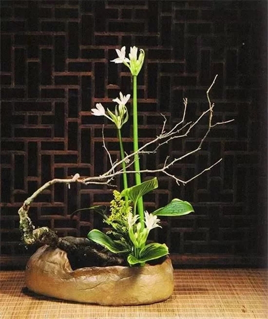 你家房子需要一點花藝