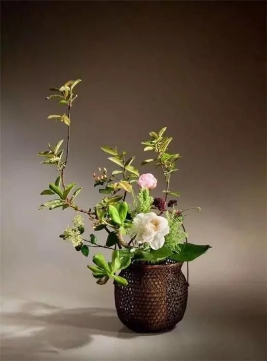 你家房子需要一點花藝