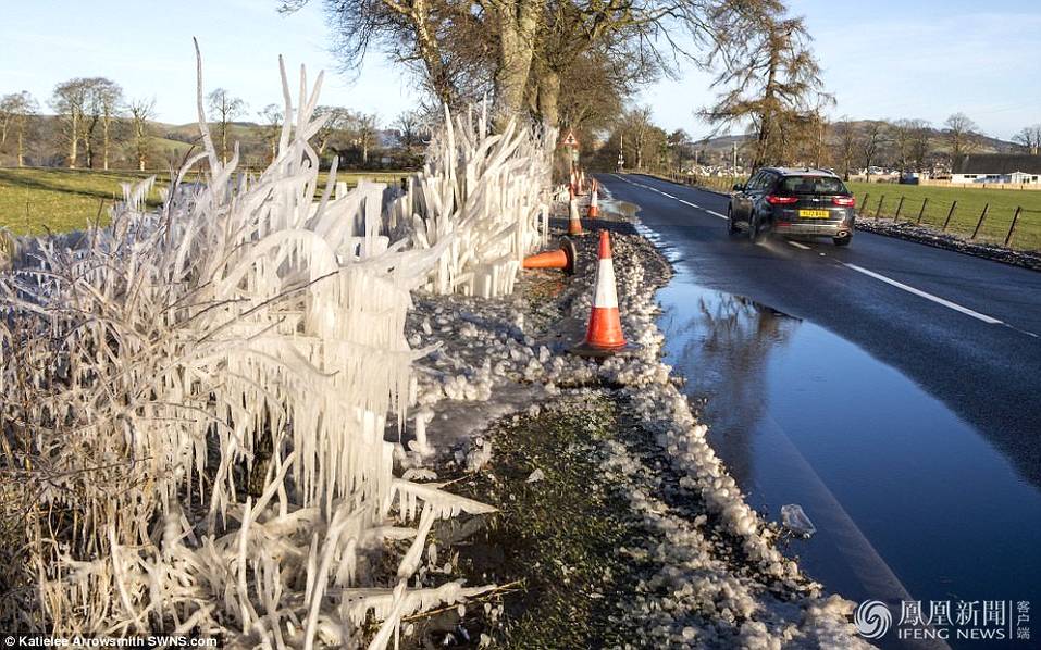 天太冷，英國植物變冰雕