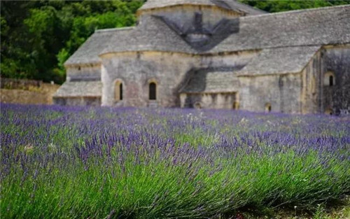 休閑農(nóng)業(yè)經(jīng)營的10大經(jīng)驗