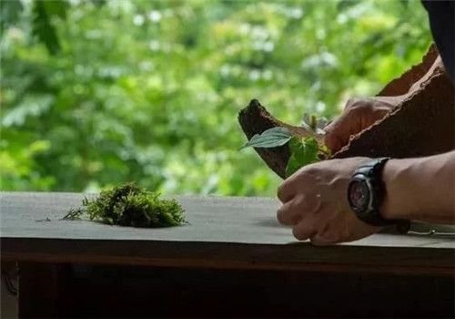 自制禪意插花，與心靈碰撞的心靈藝術(shù)