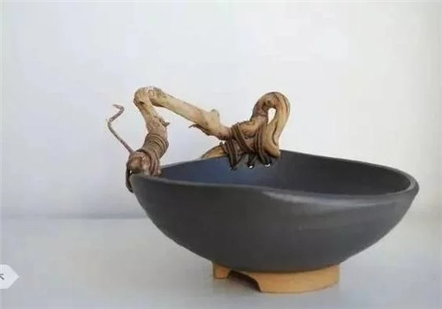 自制禪意插花，與心靈碰撞的心靈藝術(shù)