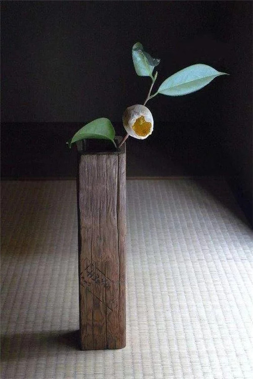 自制禪意插花，與心靈碰撞的心靈藝術(shù)