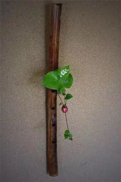 自制禪意插花，與心靈碰撞的心靈藝術(shù)