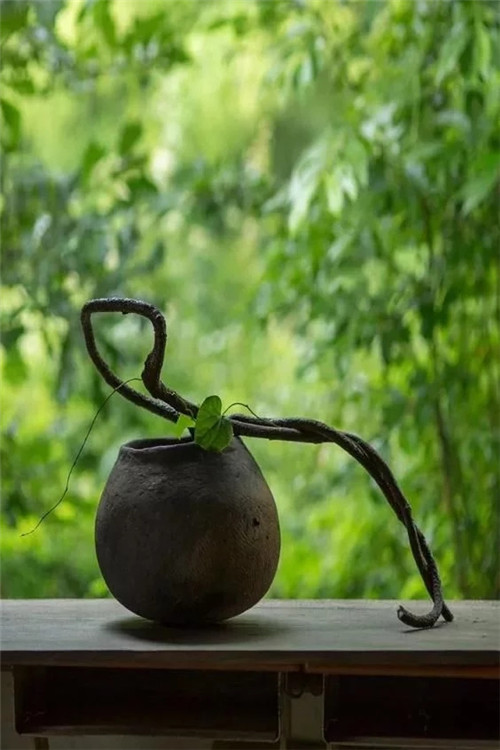 自制禪意插花，與心靈碰撞的心靈藝術(shù)