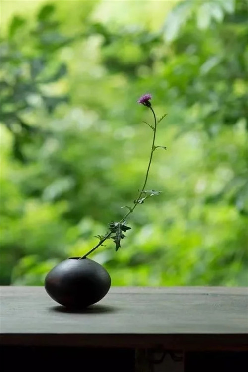 自制禪意插花，與心靈碰撞的心靈藝術(shù)