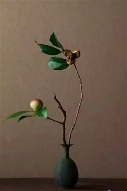 自制禪意插花，與心靈碰撞的心靈藝術(shù)