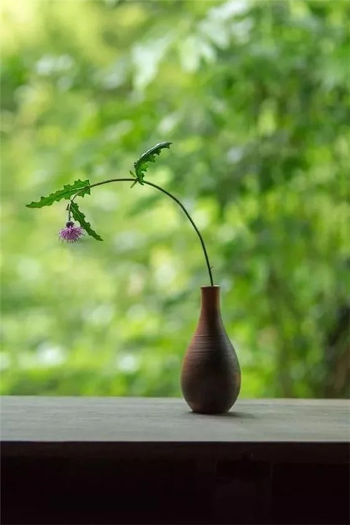 自制禪意插花，與心靈碰撞的心靈藝術(shù)