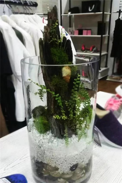 自制禪意插花，與心靈碰撞的心靈藝術(shù)