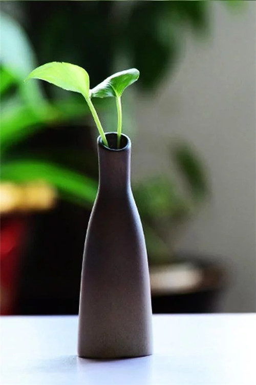 自制禪意插花，與心靈碰撞的心靈藝術(shù)