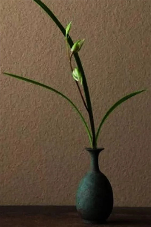 自制禪意插花，與心靈碰撞的心靈藝術(shù)