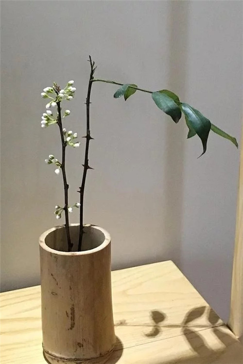 自制禪意插花，與心靈碰撞的心靈藝術(shù)