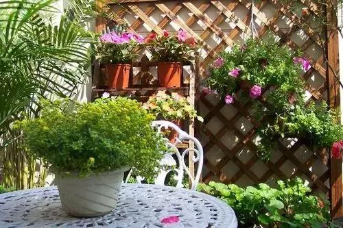 不想給花卉換盆，花卉盆土不板結怎么辦