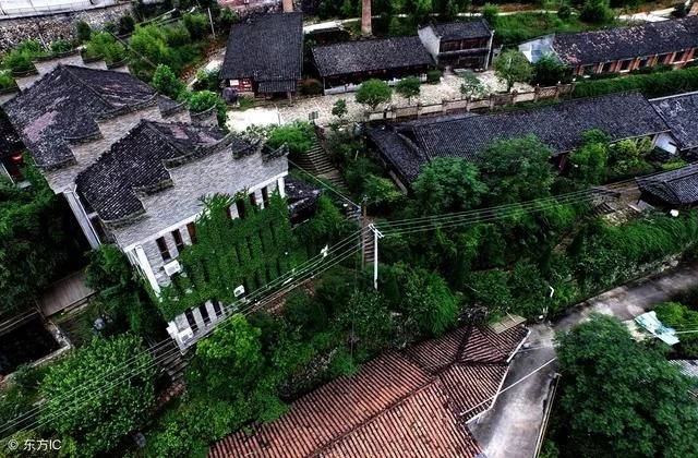 古樹奇緣西來(lái)小鎮(zhèn)