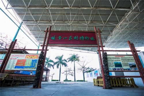 觀音山古樹博物館比黃帝還老的“老人”