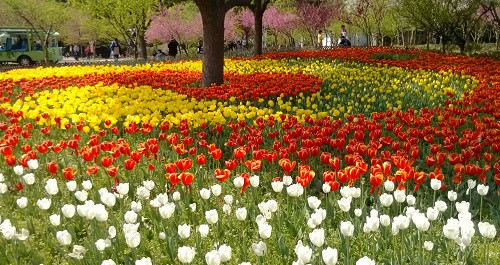 吳中勝境太湖明珠:蘇州上方山國家森林公園