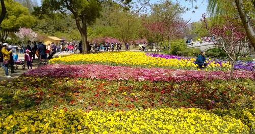 吳中勝境太湖明珠:蘇州上方山國家森林公園