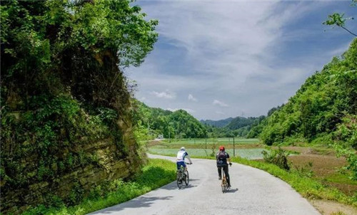 走進(jìn)千年古樹群風(fēng)景區(qū)