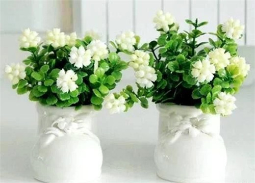 這8種植物是凈化空氣的能手，關鍵好養活！