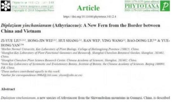 辰山植物園研究團隊發現新隱存種印禪雙蓋蕨
