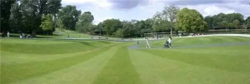 聊聊身邊的景觀草坪