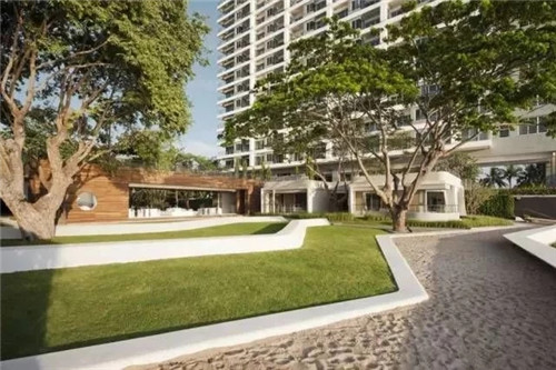 聊聊身邊的景觀草坪