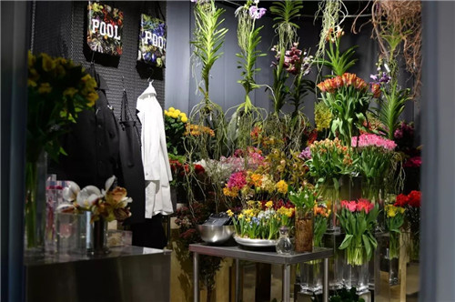 日本人對于瀕危植物的關注度遠高于櫻花