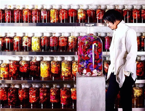 日本人對于瀕危植物的關注度遠高于櫻花